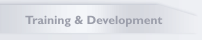 Training & Development
